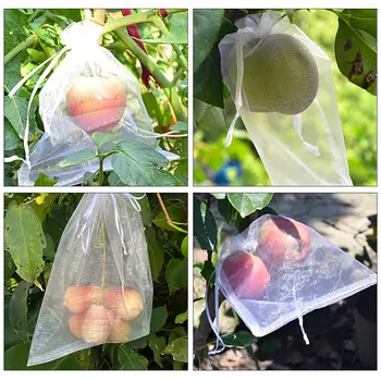 20-100 kom., vrećice za uzgoj jagoda, grožđa, voća, mrežaste vrećice za zaštitu bilja od štetnika, vrtne alate protiv ptica