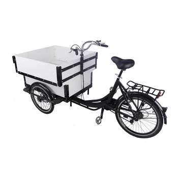 Trend stil Električni mobilni teretni bicikl bijele boje, motornih tricikli za odrasle, obitelj, djecu, dječji skuter